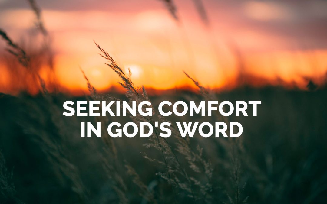 Seeking Comfort in God’s Word